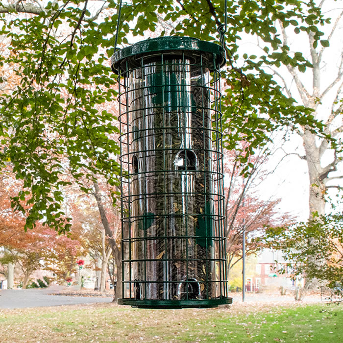 Perky-Pet Squirrel Stumper Bird Feeder hanging from a tree, featuring eight feeding ports and a clear plastic hopper protected by wire caging against squirrels.