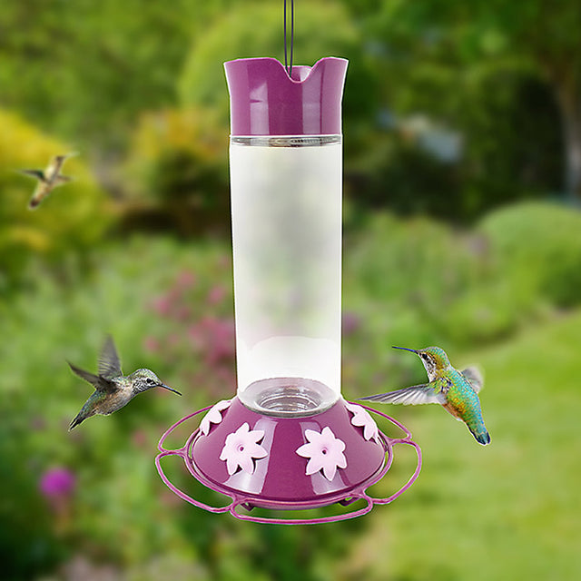 Our Best Royal Berry Hummingbird Feeder with 30 oz. capacity, six petunia-shaped feeding ports, perches, ant moat, and a clear glass bottle with purple accents.