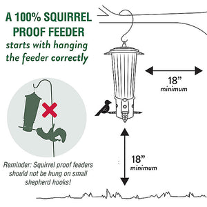 Perky-Pet Squirrel-Be-Gone Max Feeder: Diagram showing secure twist-off lid and weight-activated feeding ports to prevent squirrels from accessing seed.