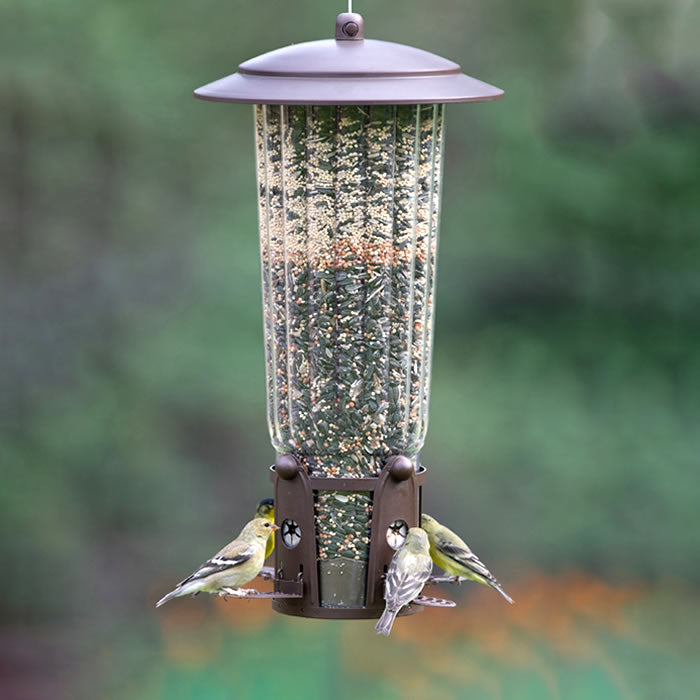 Perky-Pet Squirrel-Be-Gone Max Feeder filled with seeds, featuring a twist-off lid, weight-activated ports, and ladder-style perches, attracting various birds.