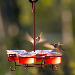 More Birds Nectar Pods Wireform Hummingbird Feeder with hummingbirds flying around, showcasing the feeder's mess-free design and pre-filled nectar pods for easy feeding.