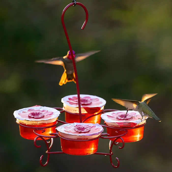 More Birds Nectar Pods Wireform Hummingbird Feeder with a bird feeding from a red nectar pod, featuring a mess-free, ready-to-use design with reusable flower ports.