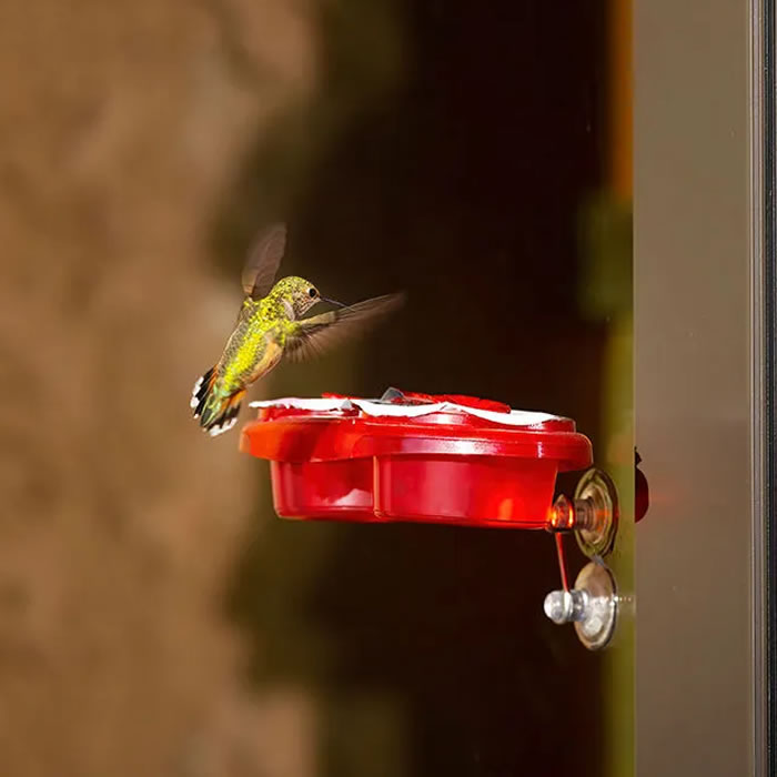 More Birds Gemini Nectar Pods Hummingbird Feeder with a hummingbird flying near a red container, showcasing the innovative, mess-free feeder design.