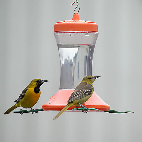 Orange Vine Oriole Feeder with 3 bee-guarded feeding ports and decorative vine leaf perches, attracting orioles while deterring insects. Shatterproof plastic construction.