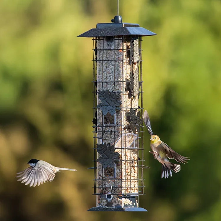 Squirrel Proof Squirrel-Be-Gone bird feeder with multiple birds eating, featuring a spring-loaded wire cage to block squirrels from accessing the feeding ports. Green blurry background. 