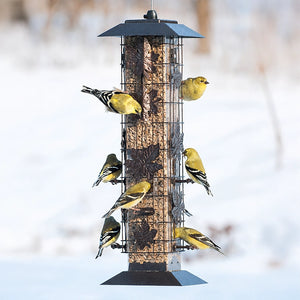 Squirrel Proof Squirrel-Be-Gone bird feeder with multiple birds eating, featuring a spring-loaded wire cage to block squirrels from accessing the feeding ports.