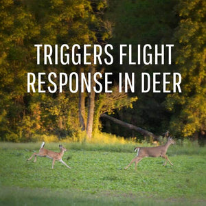 Two deer running in a field, illustrating the effectiveness of the Deer Off Waterproof Deer Repelling Stations, 6 Pack, for protecting yards and gardens.