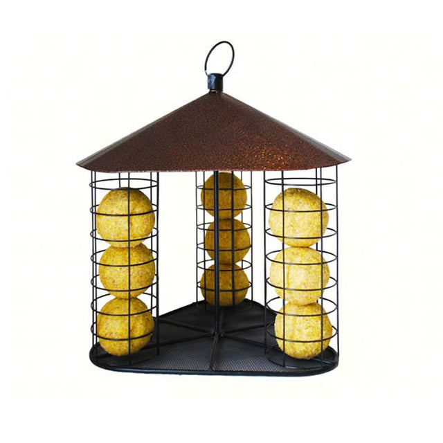 Fly-Through Suet Ball Feeder with yellow suet balls in a black metal cage, designed to attract various birds and shield them from rain.