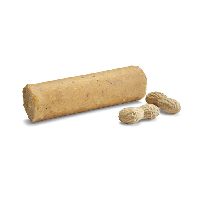 Woodpecker Blend Suet Plugs, 12-pack, shown with a close-up of suet plug and stick, ideal for attracting woodpeckers and other suet-loving birds to your feeder.