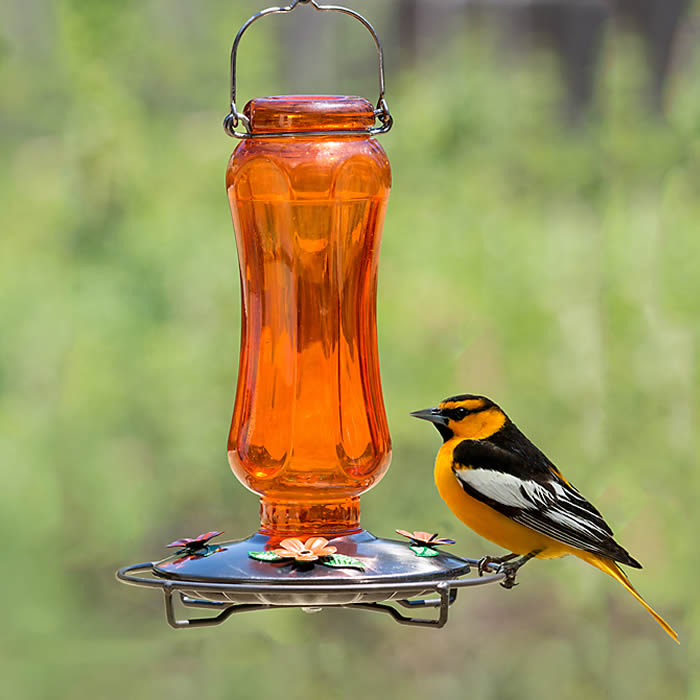 Vintage Carnival Oriole Feeder with orange flower ports, green leaves, and orange tinted glass reservoir, featuring a wraparound perch and metal hanger.