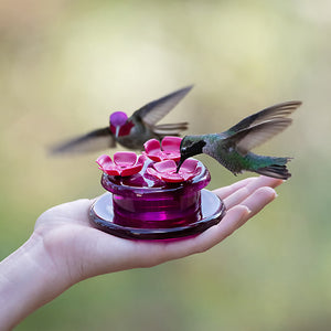 Hand holding Perky-Pet Handheld & Tabletop Hummingbird Feeder with three flower ports, ideal for feeding and watching hummingbirds closely.