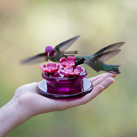 Hand holding Perky-Pet Handheld & Tabletop Hummingbird Feeder with three flower ports, ideal for feeding and watching hummingbirds closely.