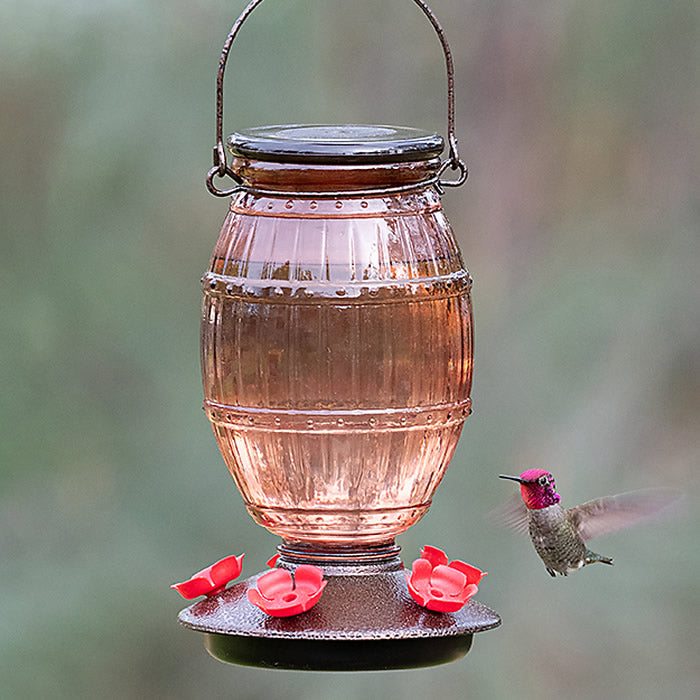 Prohibition Top-Fill Glass Hummingbird Feeder with multiple red flower-shaped ports, inspired by a barrel design, attracting a flying hummingbird near the feeder.