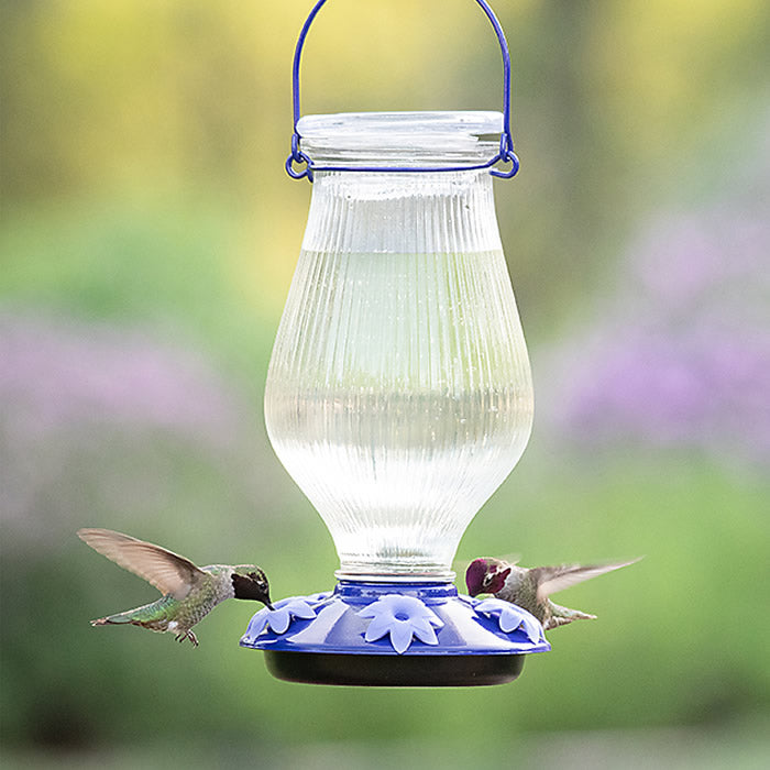 Grand Oasis Top-Fill Glass Hummingbird Feeder with five petunia-shaped feeding ports, a clear glass reservoir, and a hummingbird feeding from it.