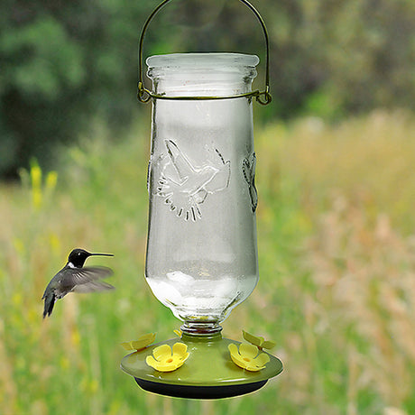 Perky-Pet Desert Bloom Top-Fill Hummingbird Feeder with a clear glass reservoir and five yellow feeding ports, shown attracting a hummingbird in flight near the feeder.