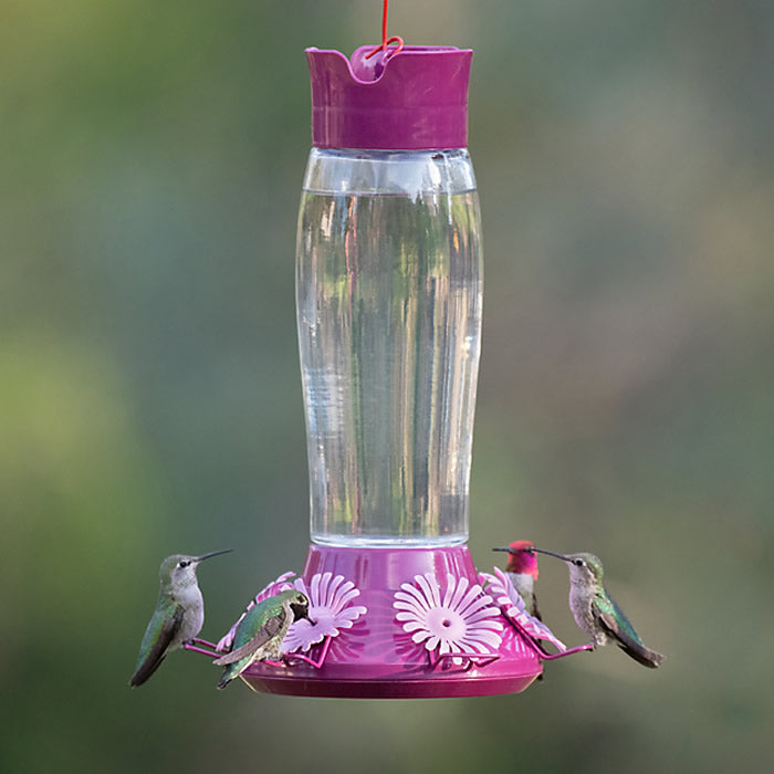 Perky-Pet Top-Fill Hummer's Favorite Hummingbird Feeder, 36 oz., with six feeding ports and perches, featuring a clear glass bottle and purple plastic accents.