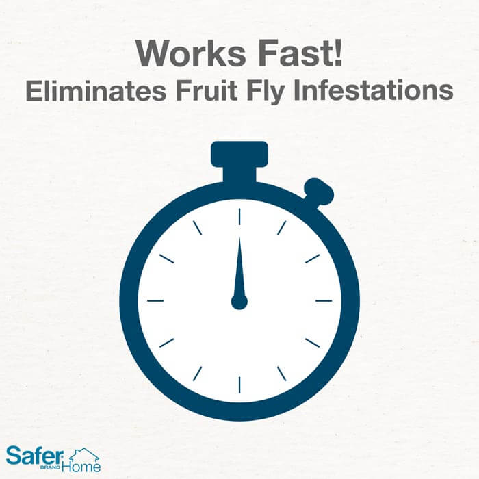 Safer Home Fruit Fly Trap with a built-in window for monitoring and an apple-shaped design to lure and trap adult fruit flies.