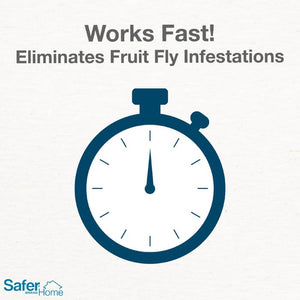 Safer Home Fruit Fly Trap with a built-in window for monitoring and an apple-shaped design to lure and trap adult fruit flies.