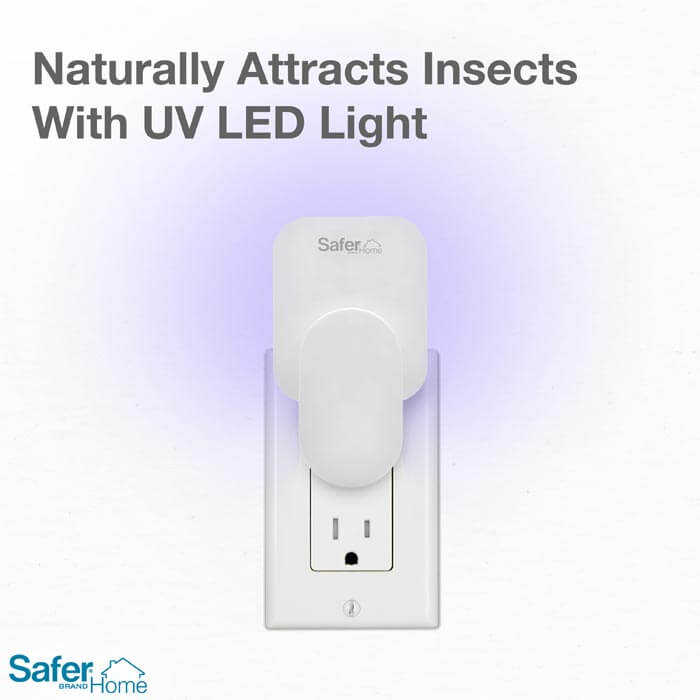 Safer Home Indoor Plug-In Fly Trap in a standard white electrical outlet, featuring a light switch and UV LED light for effective insect trapping.