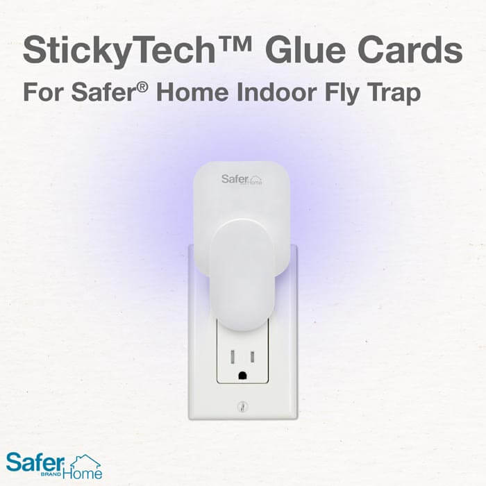 Safer Home Indoor Fly Trap Refill Glue Cards, shown inserted in a white electrical outlet, trap and secure flying insects without chemicals. Includes 3 glue cards.