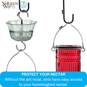 Illustration showing a clear ant moat installed above a hummingbird feeder, creating a water barrier that helps stop ants from accessing nectar.