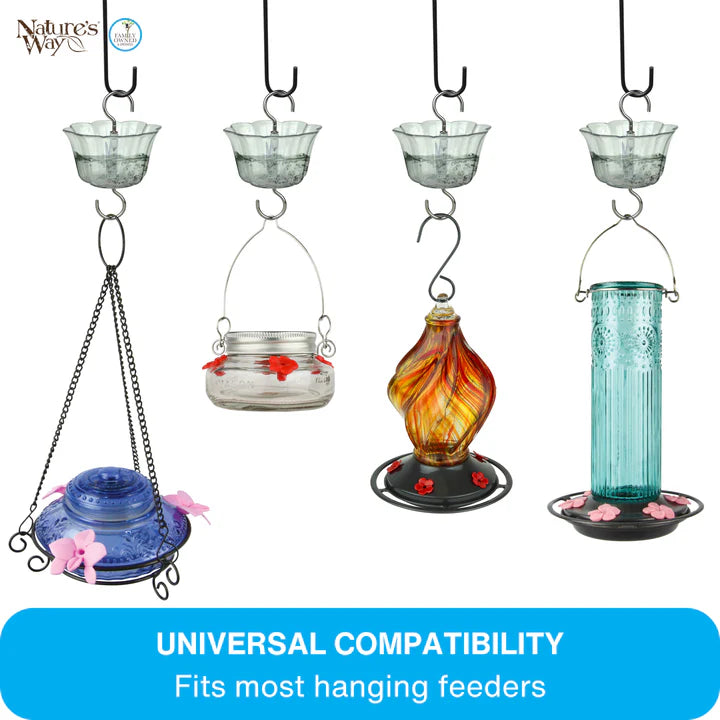 Infographic showing the clear ant moat used with various hanging bird feeders and hummingbird feeders to help deter ants.