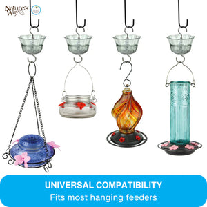 Infographic showing the clear ant moat used with various hanging bird feeders and hummingbird feeders to help deter ants.