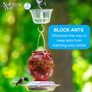 Clear hummingbird feeder ant moat hanging above a glass hummingbird feeder outdoors, demonstrating how the water-filled moat blocks ants from reaching the feeder.