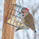 Black Metal Suet Cage Bird Feeder hangs with a Northern Flicker feeding on suet. Features durable steel construction and ample clinging space for birds.