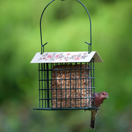 Decorative Metal Suet Cage Bird Feeder with a perched sparrow and suet cake inside, showcasing its sturdy steel construction and ample feeding space for birds.