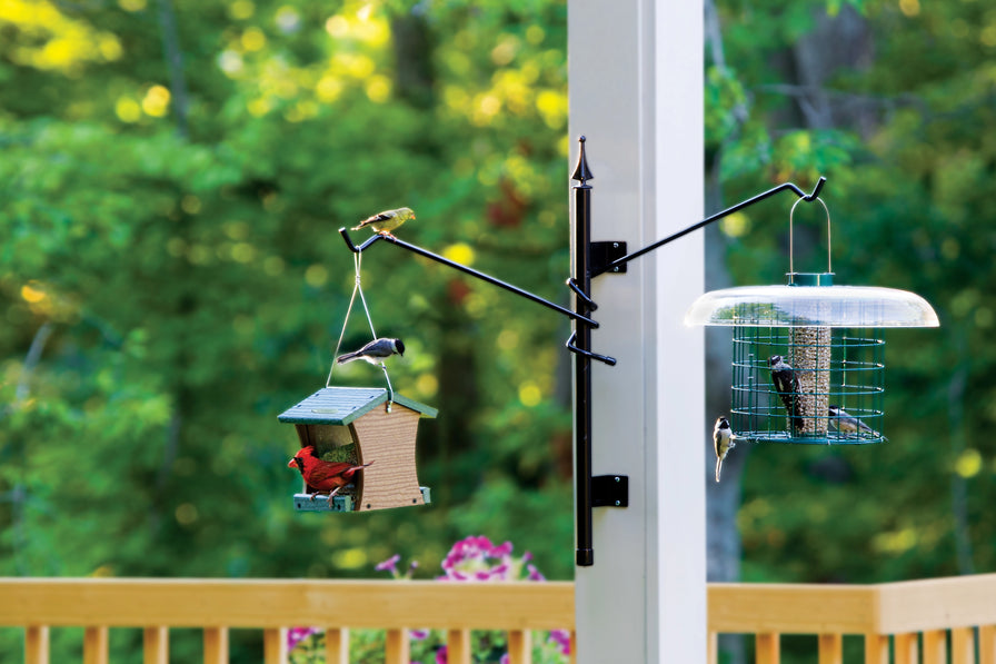 Wall Mount Hanger with two hangers that has a hopper feeder and a tube feeder. 