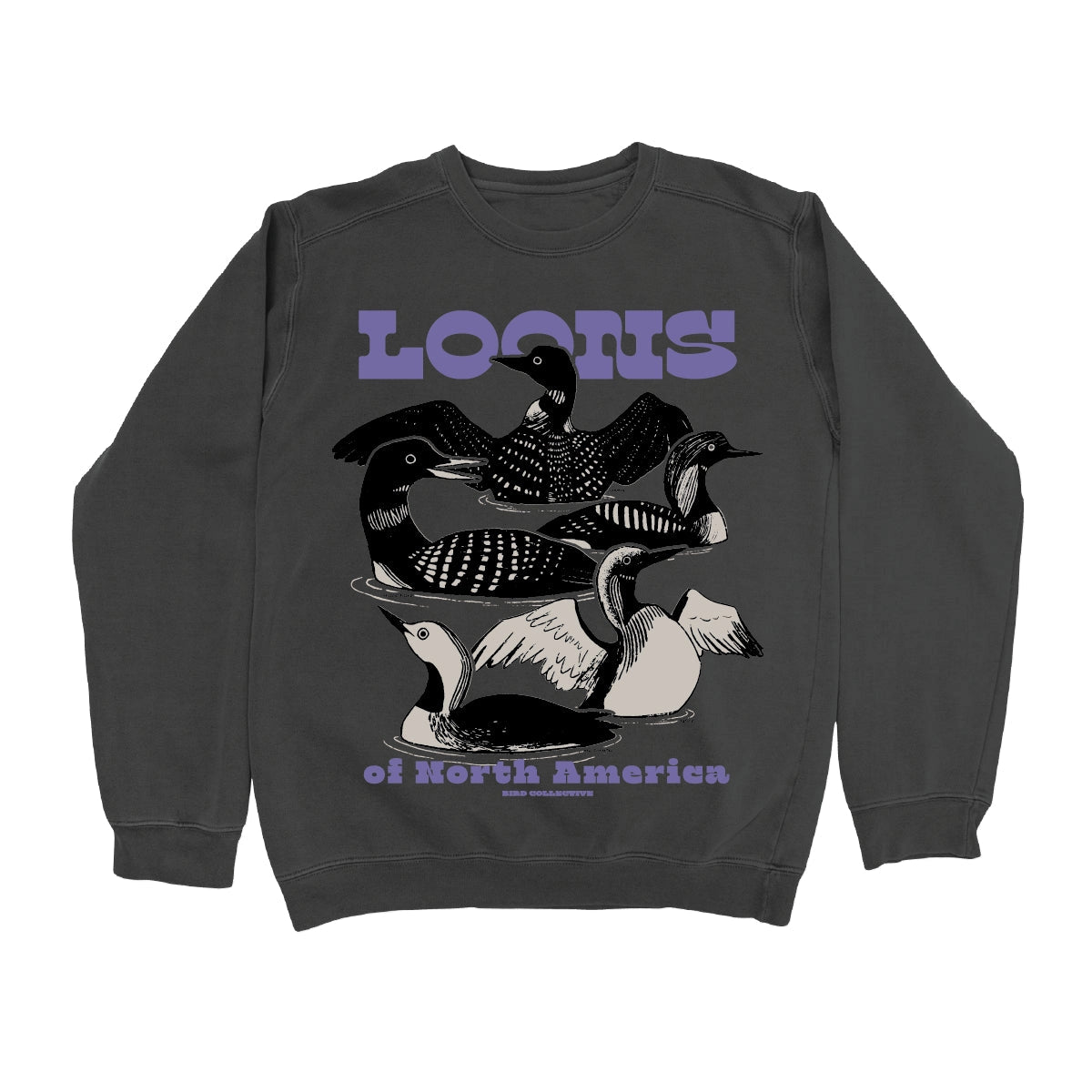 Loons of North America Sweatshirt, Charcoal - Main Image