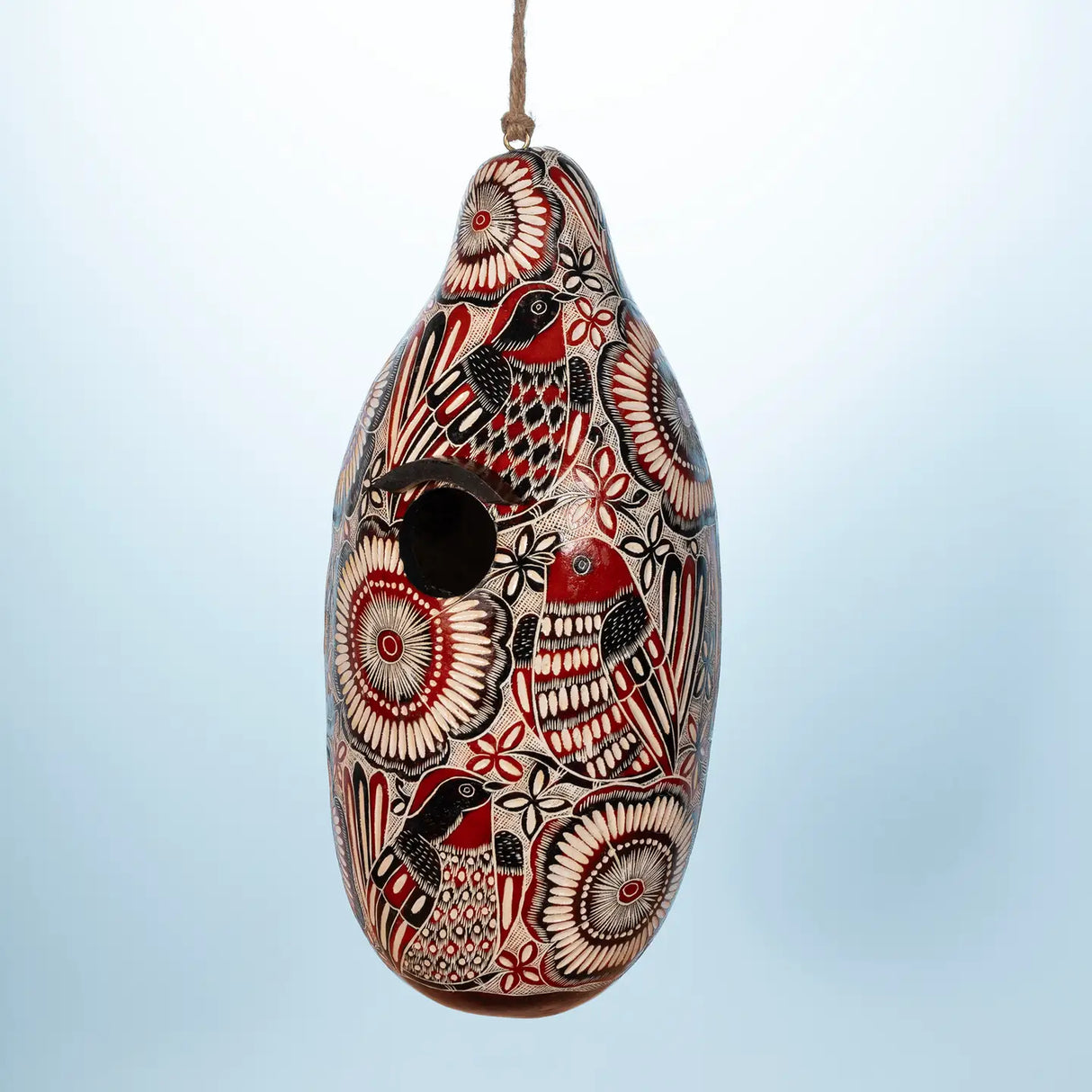 Lace Birds Gourd Birdhouse, intricately hand carved, hangs elegantly, featuring a 1-1/4 inch opening, perfect for small birds, with protective varnish and drainage holes.