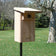 Cedar bluebird nest box mounted on a pole in an open grassy habitat.