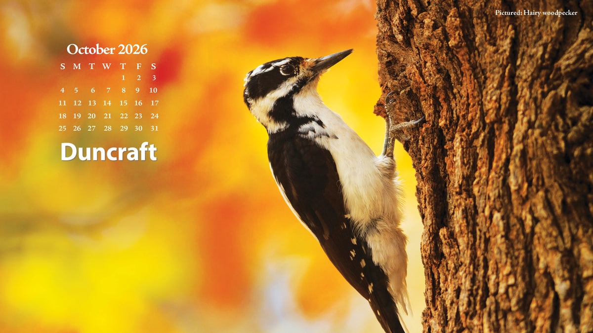 October 2026 Calendar with a Hairy Woodpecker.