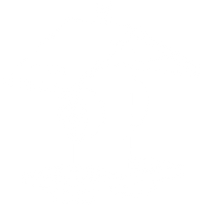 Oriole Feeders