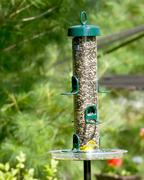 Brome Tube Solution 200 Podium Kit: a bird feeder filled with seeds, featuring a detachable system and ventilation for freshness, ideal for attracting wild birds.