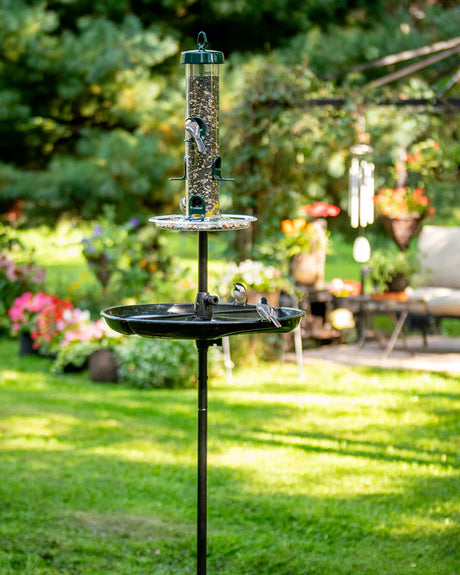 Brome Tube Solution 200 Podium Kit features a bird feeder on a pole, designed for easy assembly, squirrel protection, and efficient ventilation for fresher bird food.