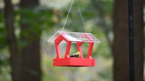 Duncraft Heritage Platform Feeder, Red