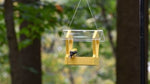 Duncraft Heritage Platform Feeder, Yellow