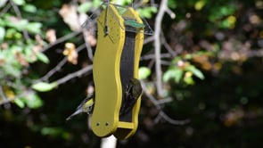 Duncraft Fancy Finch Nyjer®  Wave Feeder