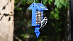 Duncraft Royal Blue Arrow Tail Prop Suet Feeder