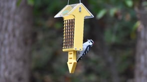 Duncraft Yellow Arrow Tail Prop Suet Feeder