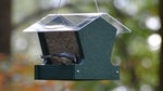 Duncraft Heritage Hopper Feeder, Green