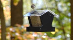 Duncraft Heritage Hopper Feeder, Black