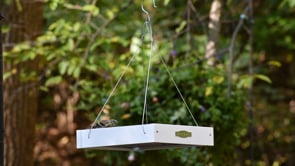 Duncraft Classic Bird Safe Platform Feeder, White