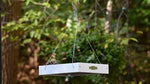 Duncraft Classic Bird Safe Platform Feeder, White