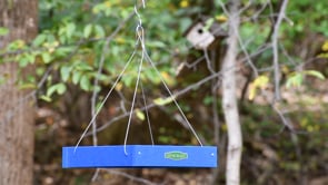 Duncraft Classic Bird Safe Platform Feeder, Royal Blue