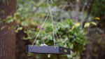 Duncraft Classic Bird Safe Platform Feeder, Black