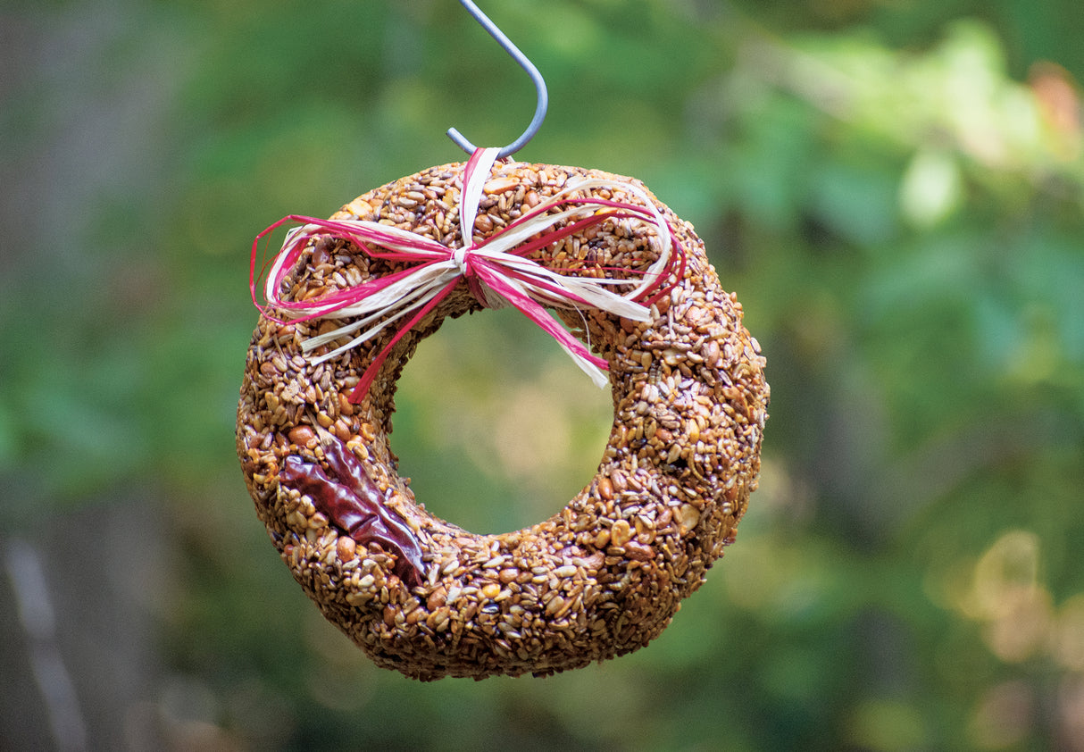 Flaming Hot Feast Bird Seed Wreath hanging with a green background. 